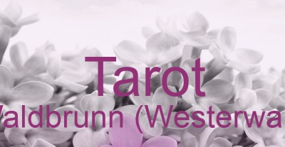 Tarot Waldbrunn (Westerwald) | Top-Experten für Kartenlegen, Wahrsagen, Hellsehen, Zukunftsdeutung.